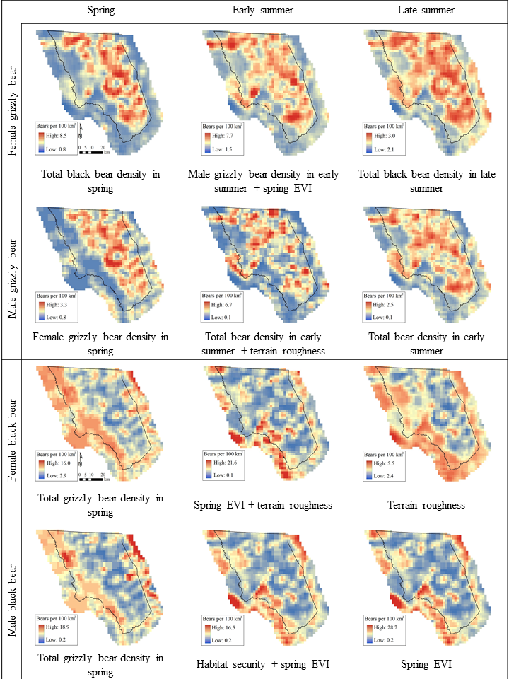 Grizzly Bear Population Modeling